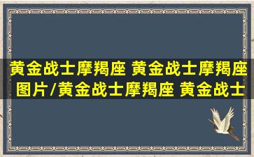 黄金战士摩羯座 黄金战士摩羯座图片/黄金战士摩羯座 黄金战士摩羯座图片-我的网站